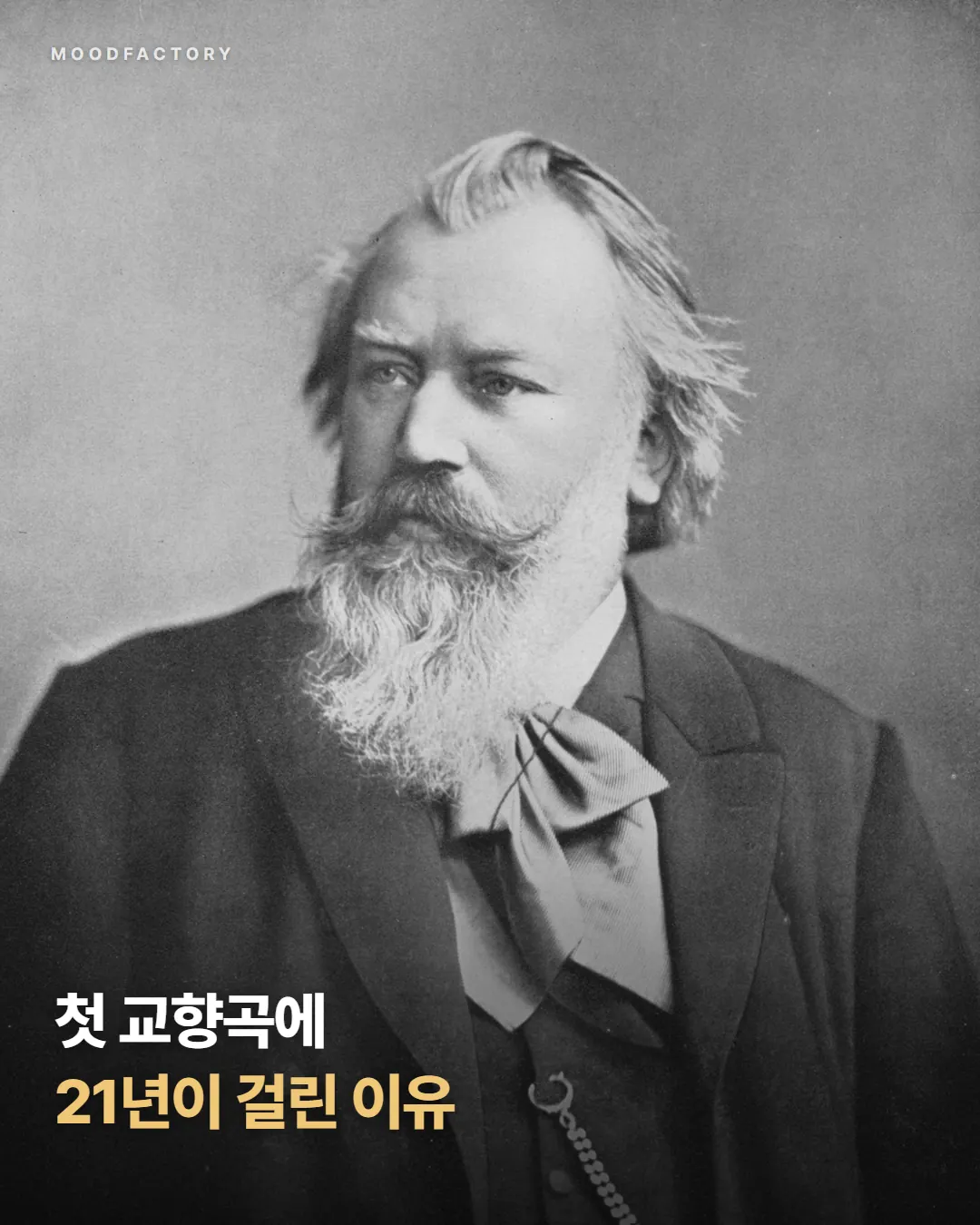 수염 난 브람스 사진 위에 표지 제목 '첫 교향곡에 21년이 걸린 이유'