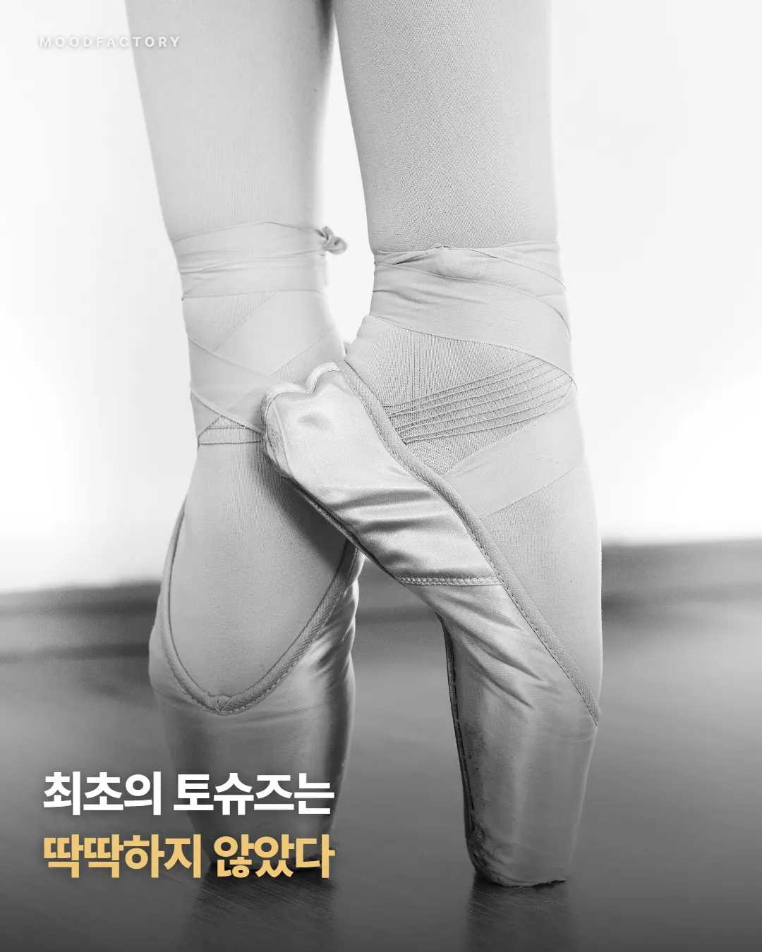 토슈즈 사진 위에 표지 제목 '최초의 토슈즈는 딱딱하지 않았다'