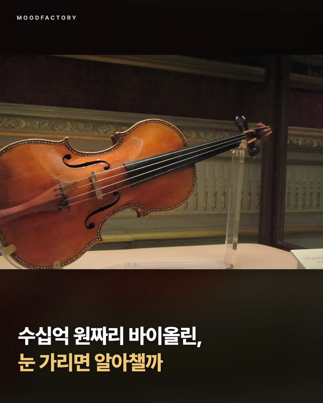 진열된 스트라디바리우스 바이올린 사진 위에 제목 ‘수십억 원짜리 바이올린, 눈 가리면 알아챌까’