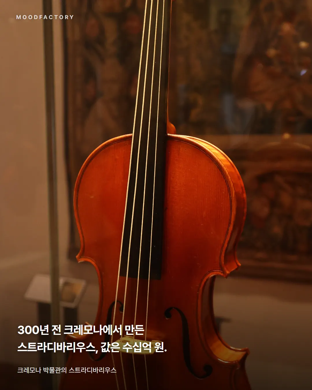 크레모나 박물관의 스트라디바리우스. 300년 전 크레모나에서 만들어져 값이 수십억 원이라는 글