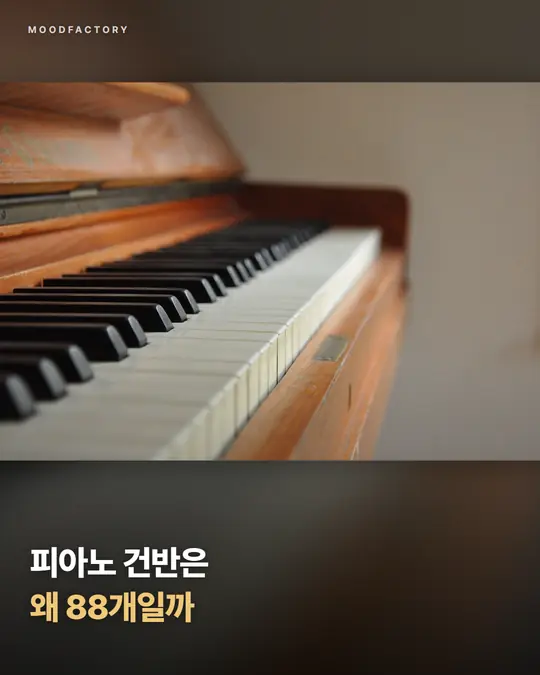 비스듬히 찍은 피아노 건반 사진 위에 제목 ‘피아노 건반은 왜 88개일까’